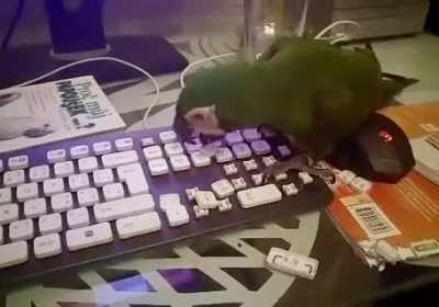 Cause there is nothing better to do on late evenings than putting the keys back by memory