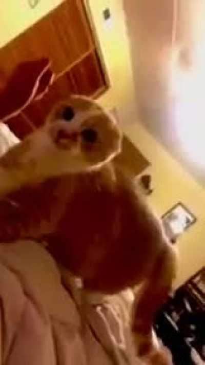Ma is that you?