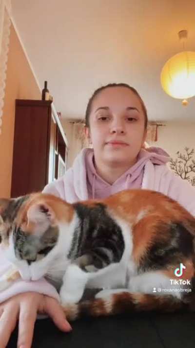 Smartworking with a cat! #petthedamncat