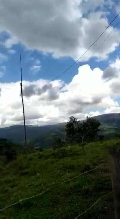 Just enjoying nature