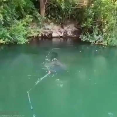 What In the KRAKEN IS THAT??