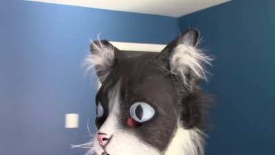 The Scariest Cat Of Them All
