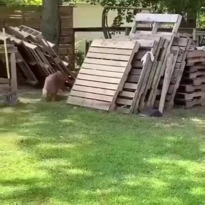 Maybe Maybe Maybe