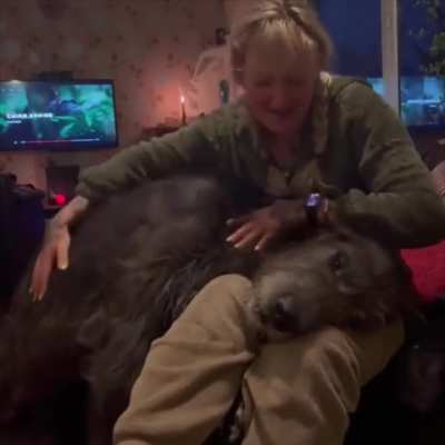 Big dog is still just a little puppy.. ?