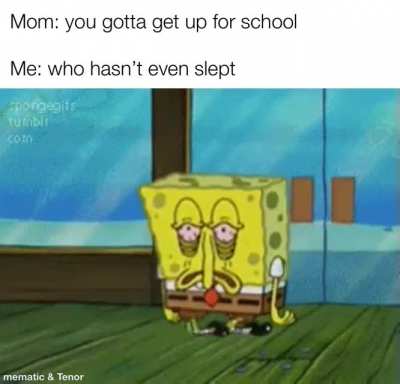 Funny of you to assume I’ve slept mother