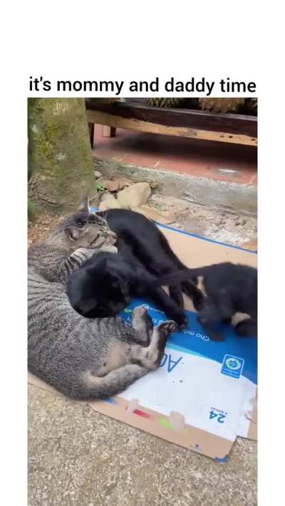Ohh! Calm down mama