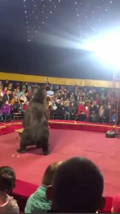 Like a Circus ? ?