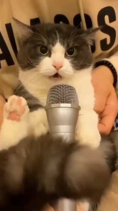 Singer ?