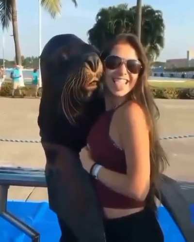 Seal was like "Selfie?!!