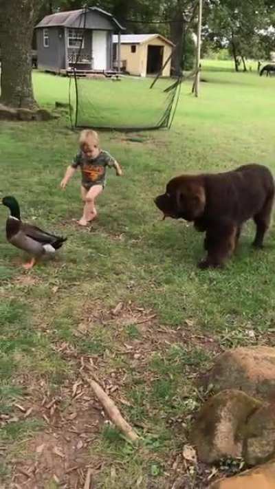 3 Best Friends