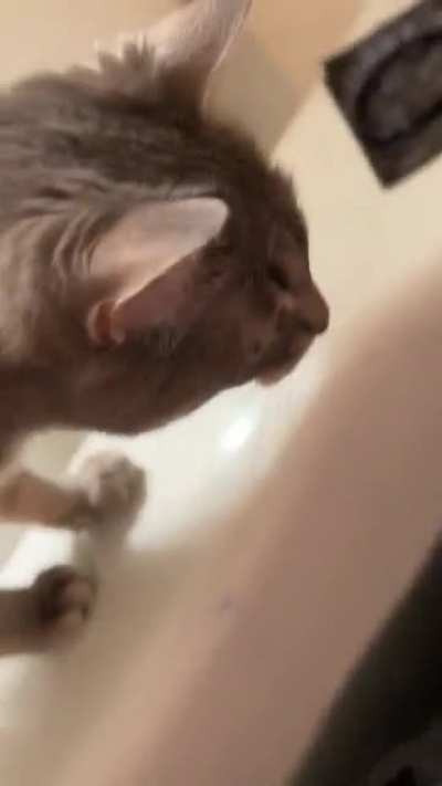 Miss Beans trying to understand the black bath bomb water like: