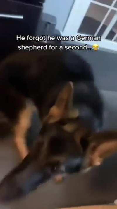 ??
