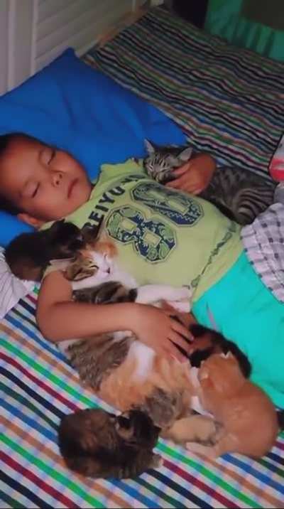 Shh, he’s sleeping!