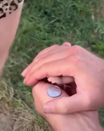 Funny Magic Trick