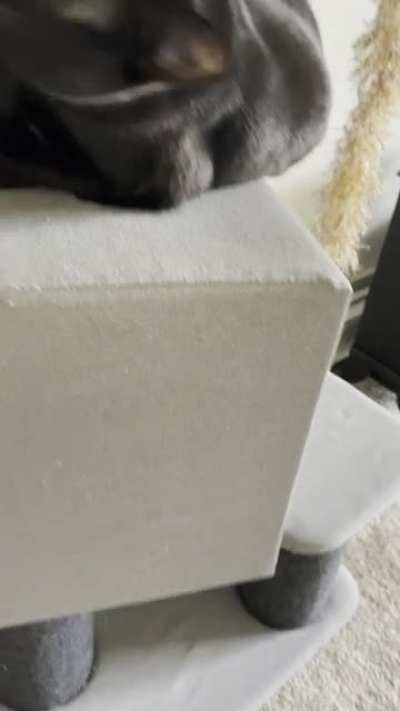 Camera taps