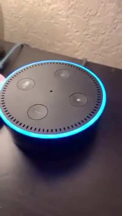 Dude flirting with Alexa ??
