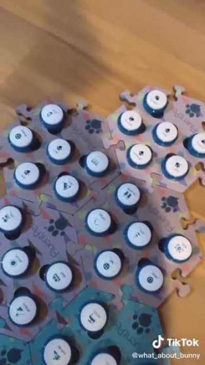 This dog has learned to communicate with humans using buttons.