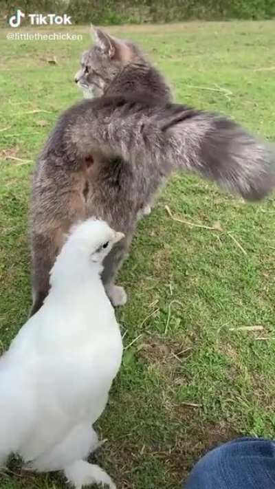 Just because it puckers doesn’t mean I want a kiss