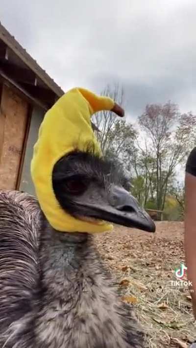The most important thing you will see all day.