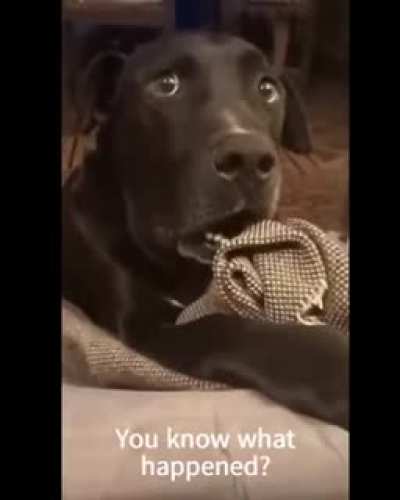 The realization