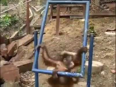 ?As a fellow primate, I would react just the same