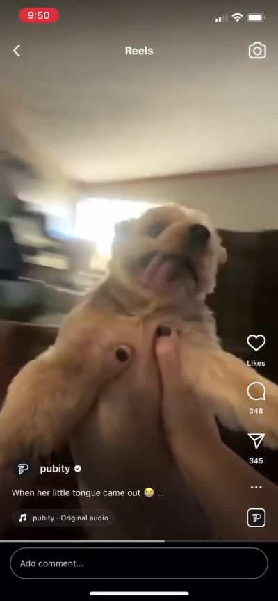 See her little tongue sticking out ?