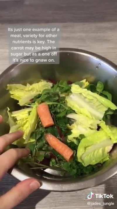 Vegetarian dogs are the best dogs.