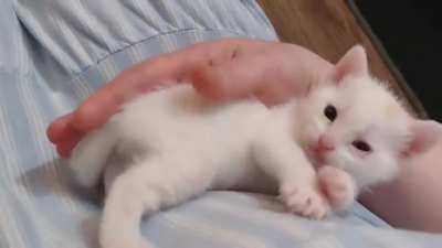sleepy
