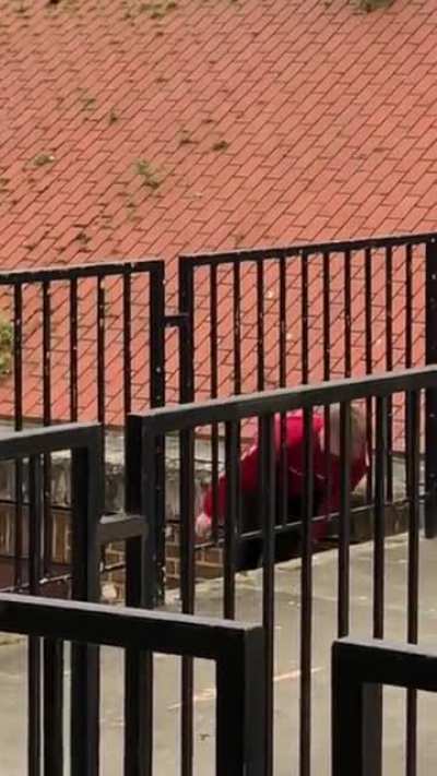 Parkour