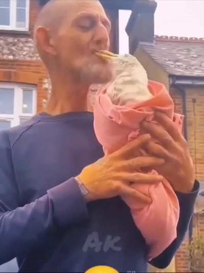 to pet a seagull
