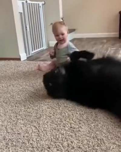 Stealth kiss