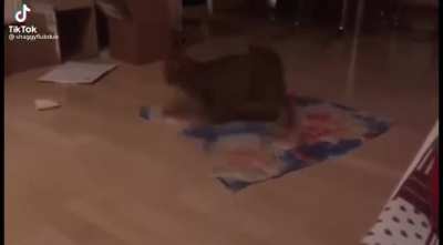 The audio makes it ?