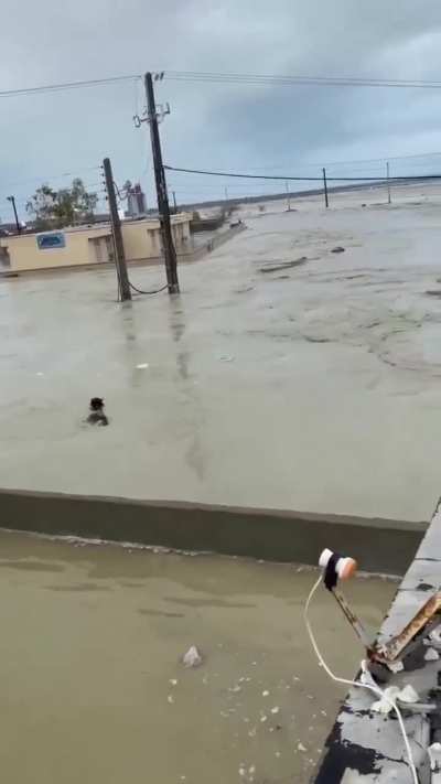 Flooding in Sirik (Hormozgan, Iran, 19.12.2025).
