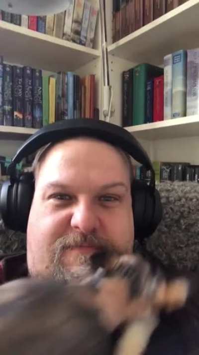 PET THAT CAT