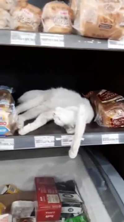 Bakery Supervisor