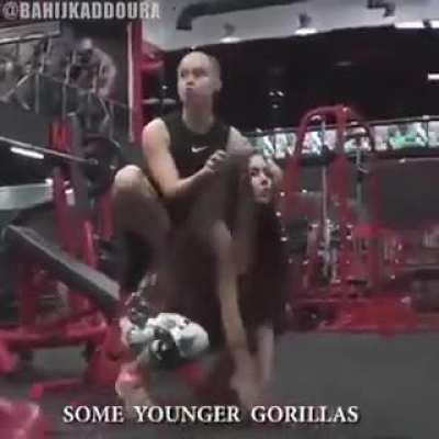 Monke love going to gym.
