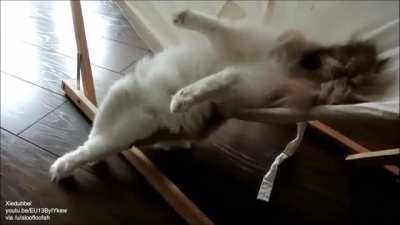 Multiple catculations