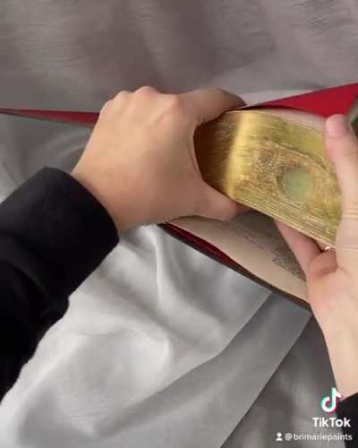 Look like a typical thick novel? But when you tilt the book like reading it, the fore-edge will appear a majestic picture from LOTR