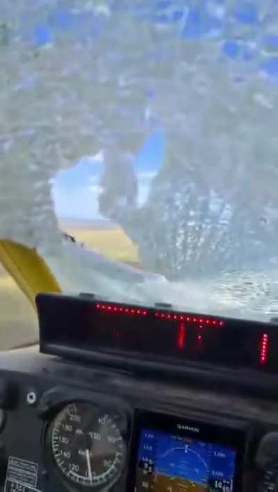 Pilot keeps his cool after bird broke his windshield