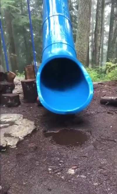 How babies are born