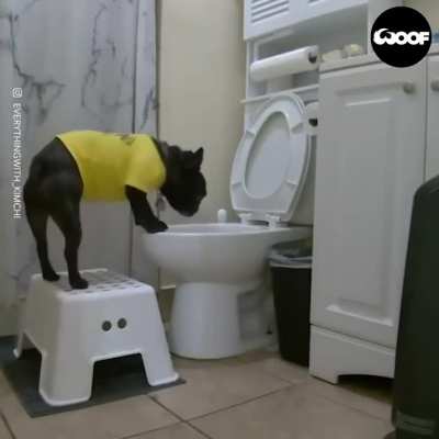 Potty training has been going well! ??