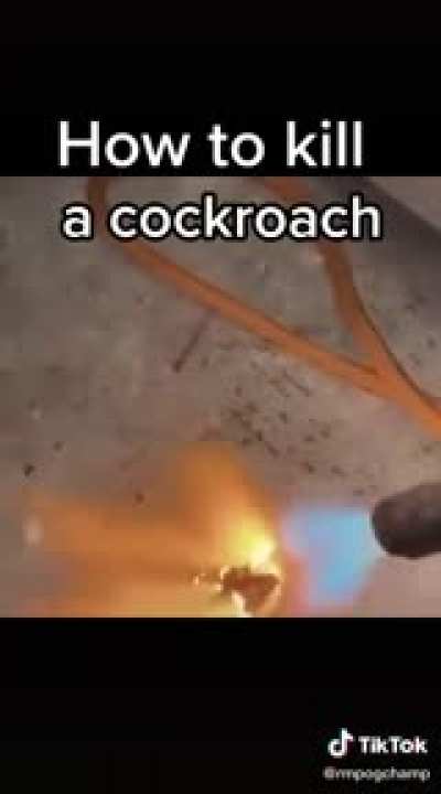 How to kill a cockroach?