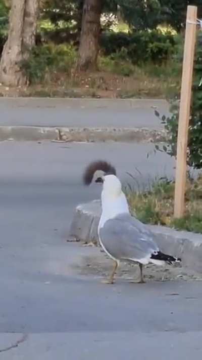 Maybe maybe maybe