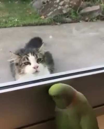 Peak-a-boo!