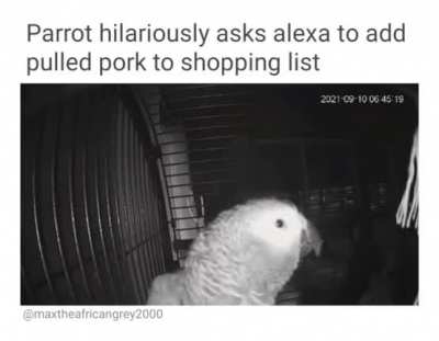 Alexa sounds done with his shit. ??