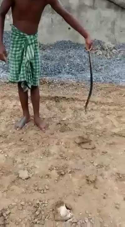 No disrespect to snakes ?