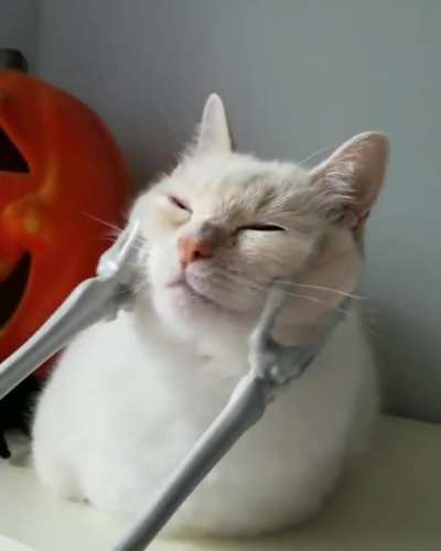 Calcium scritches ????