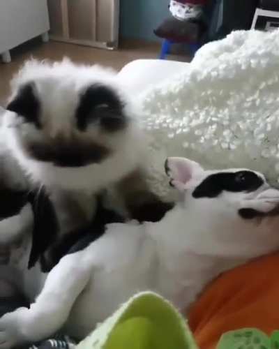 "Oh yeah that's the spot"