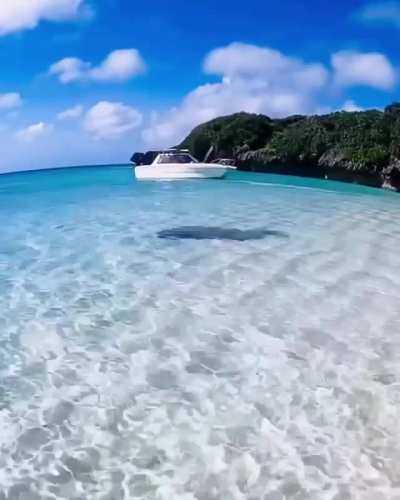 ? Beach in Okinawa Japan