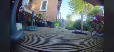Dads reaction to pigeon flying into the window.